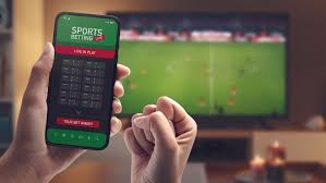 Apostas Online Conheça o Betwinner
