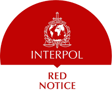 Understanding the Role of Interpol Defense Lawyers 1343446223 Understanding the Role of Interpol Defense Lawyers 1343446223