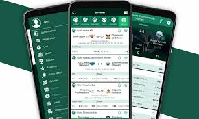 BetWinner The Ultimate Betting Experience