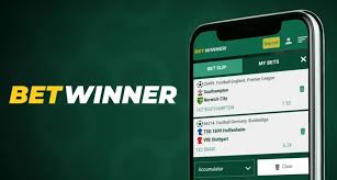 Step-by-Step Guide to BetWinner Account Registration -822238558