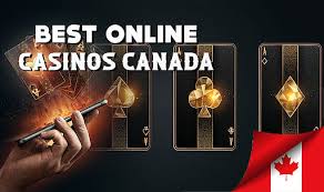 The Best Online Casino An In-Depth Review and Guide